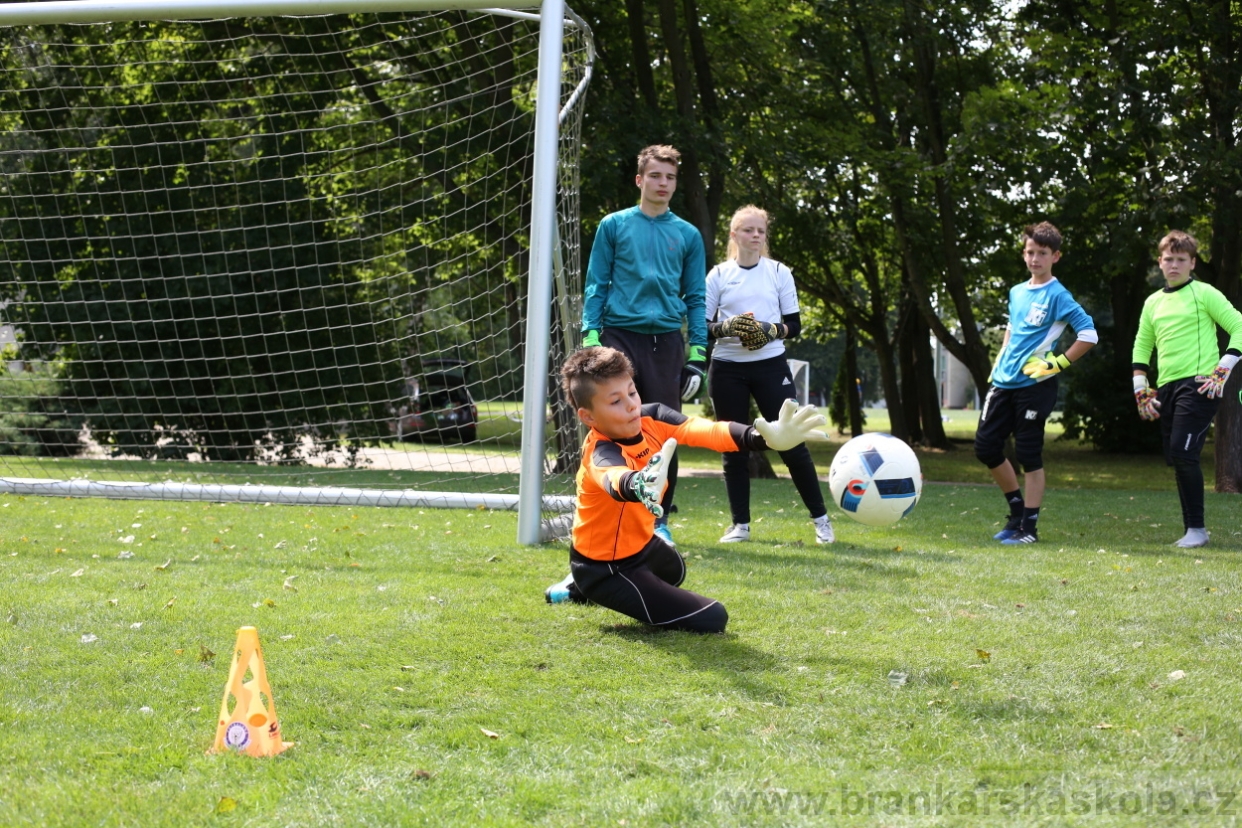 BFŠJCH - Léto 2017 - Úterý 8.8.2017