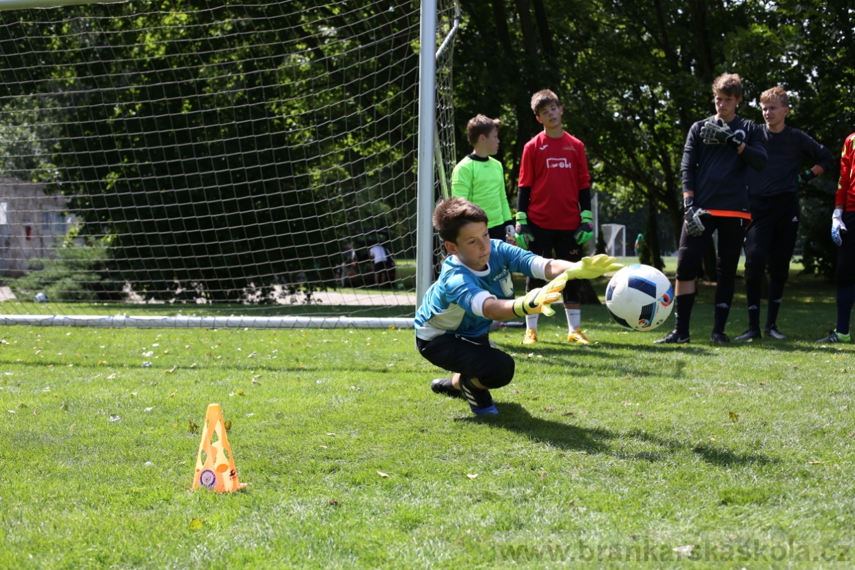 BFŠJCH - Léto 2017 - Úterý 8.8.2017