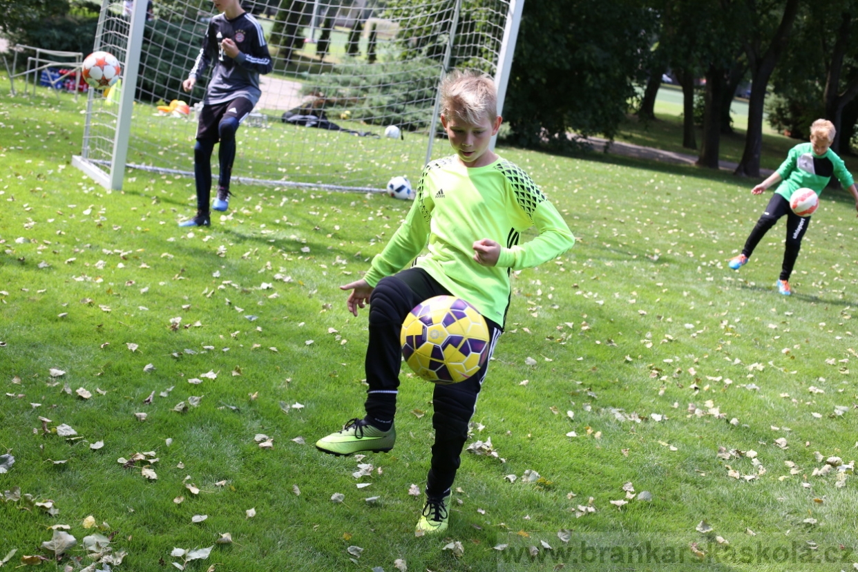 BFŠJCH - Léto 2017 - Úterý 8.8.2017