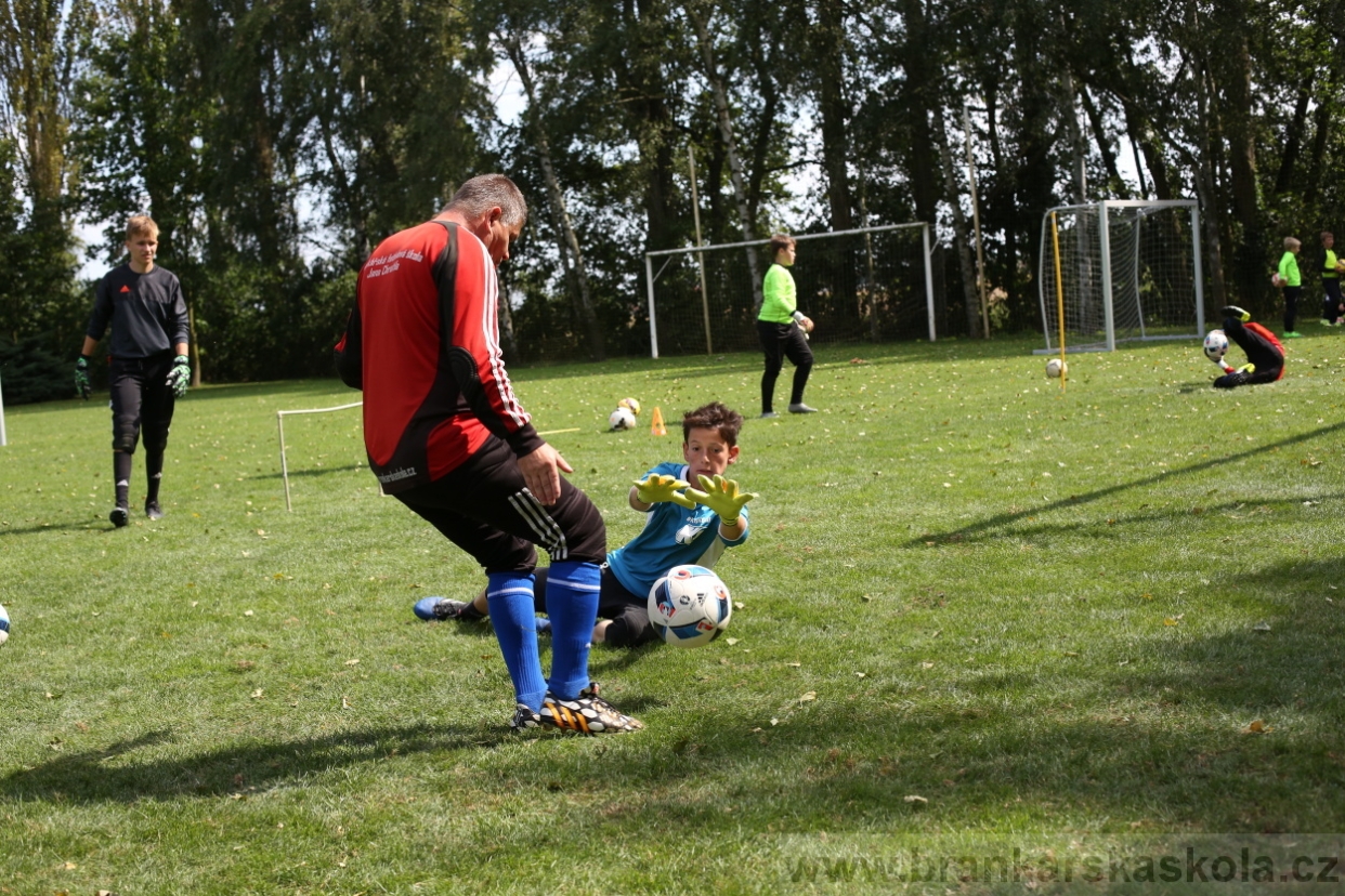 BFŠJCH - Léto 2017 - Úterý 8.8.2017