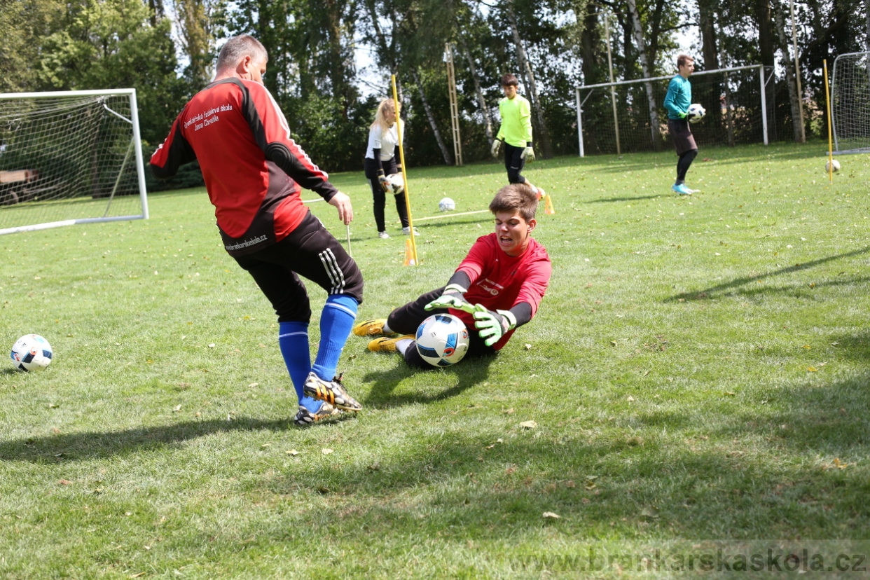 BFŠJCH - Léto 2017 - Úterý 8.8.2017