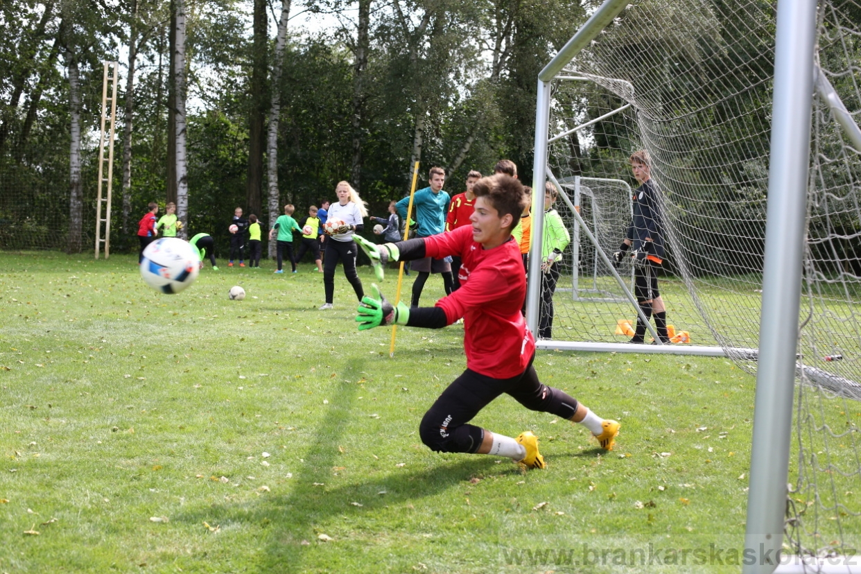 BFŠJCH - Léto 2017 - Úterý 8.8.2017