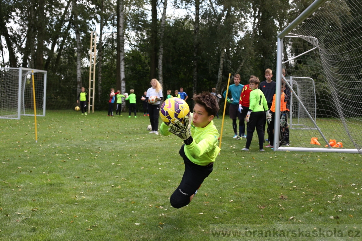 BFŠJCH - Léto 2017 - Úterý 8.8.2017