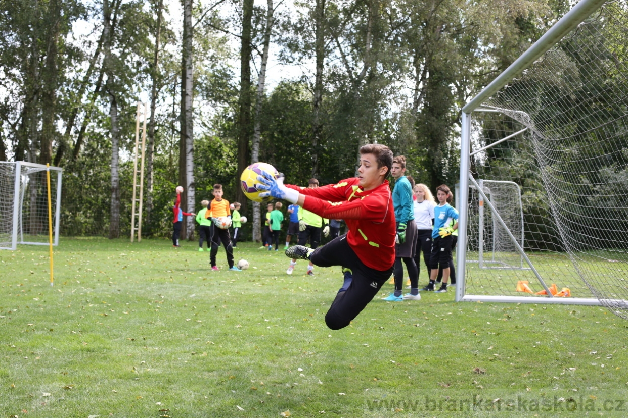 BFŠJCH - Léto 2017 - Úterý 8.8.2017