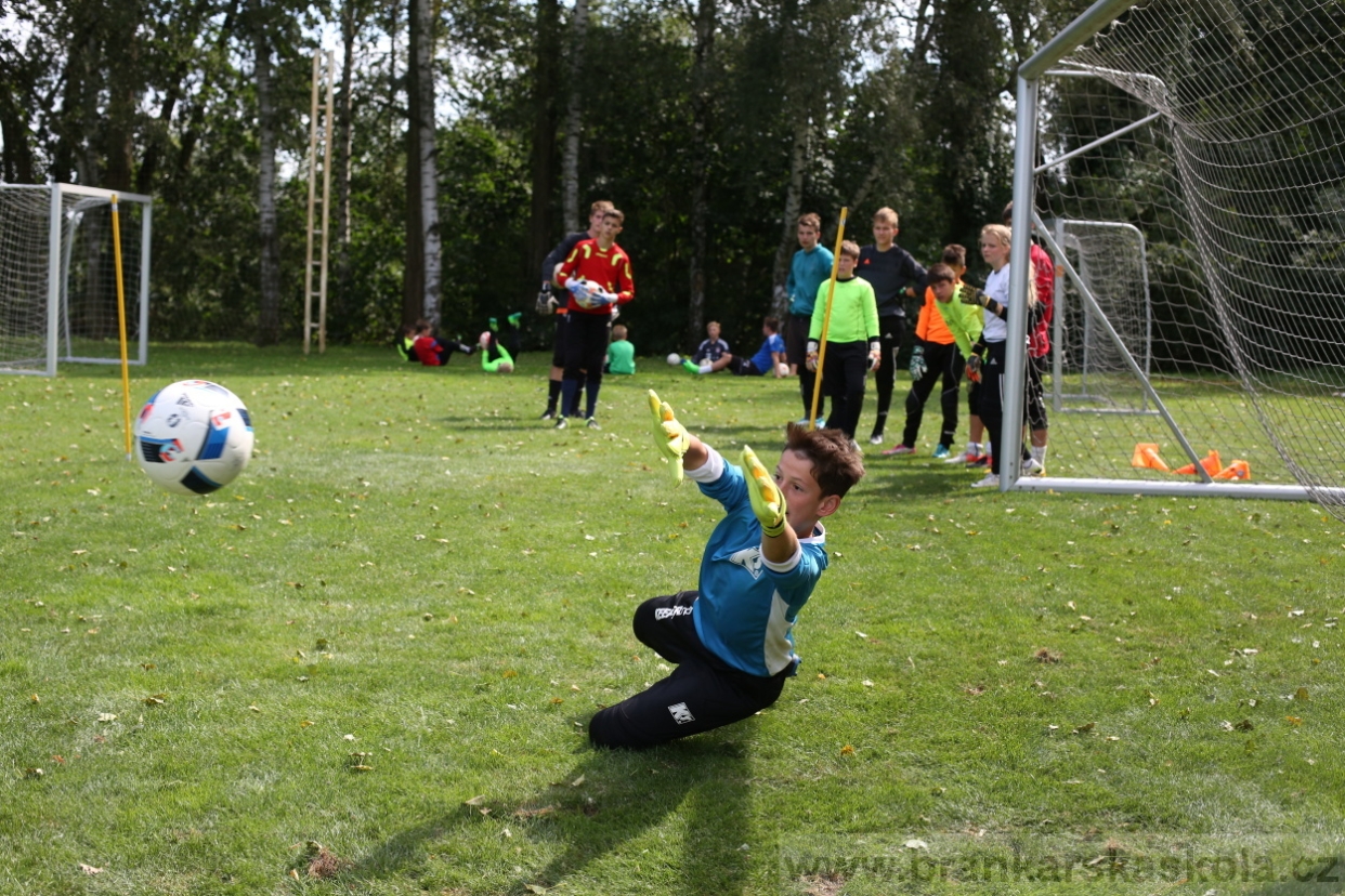 BFŠJCH - Léto 2017 - Úterý 8.8.2017