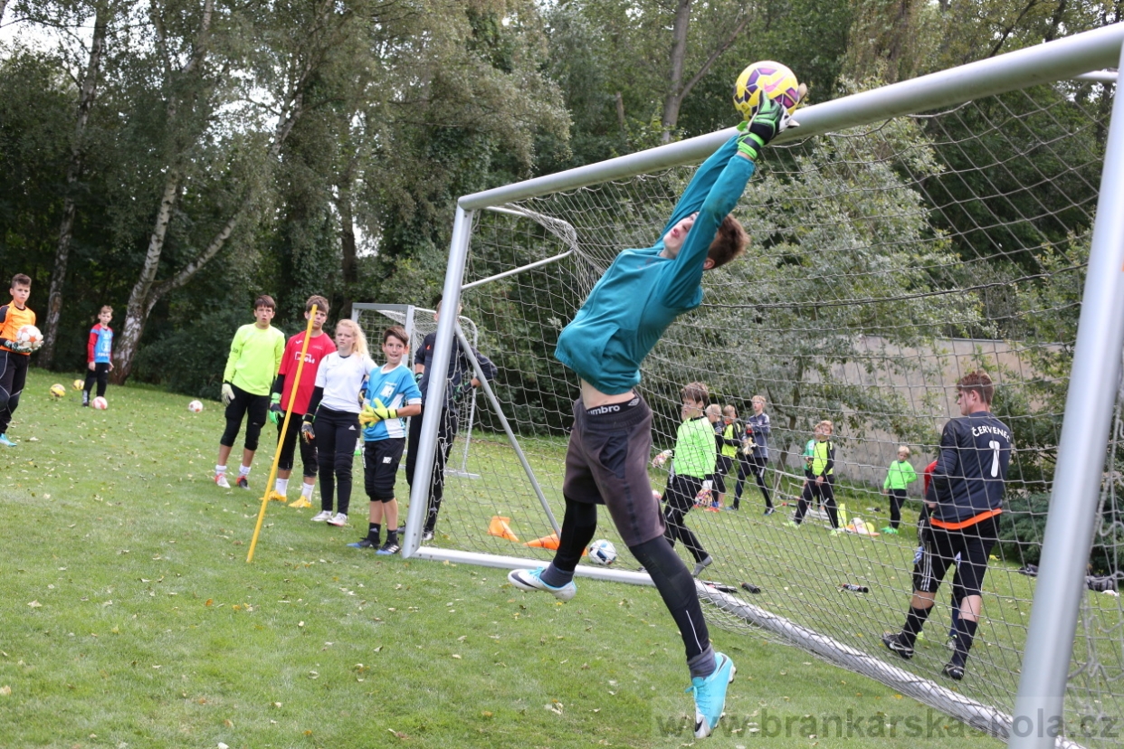 BFŠJCH - Léto 2017 - Úterý 8.8.2017