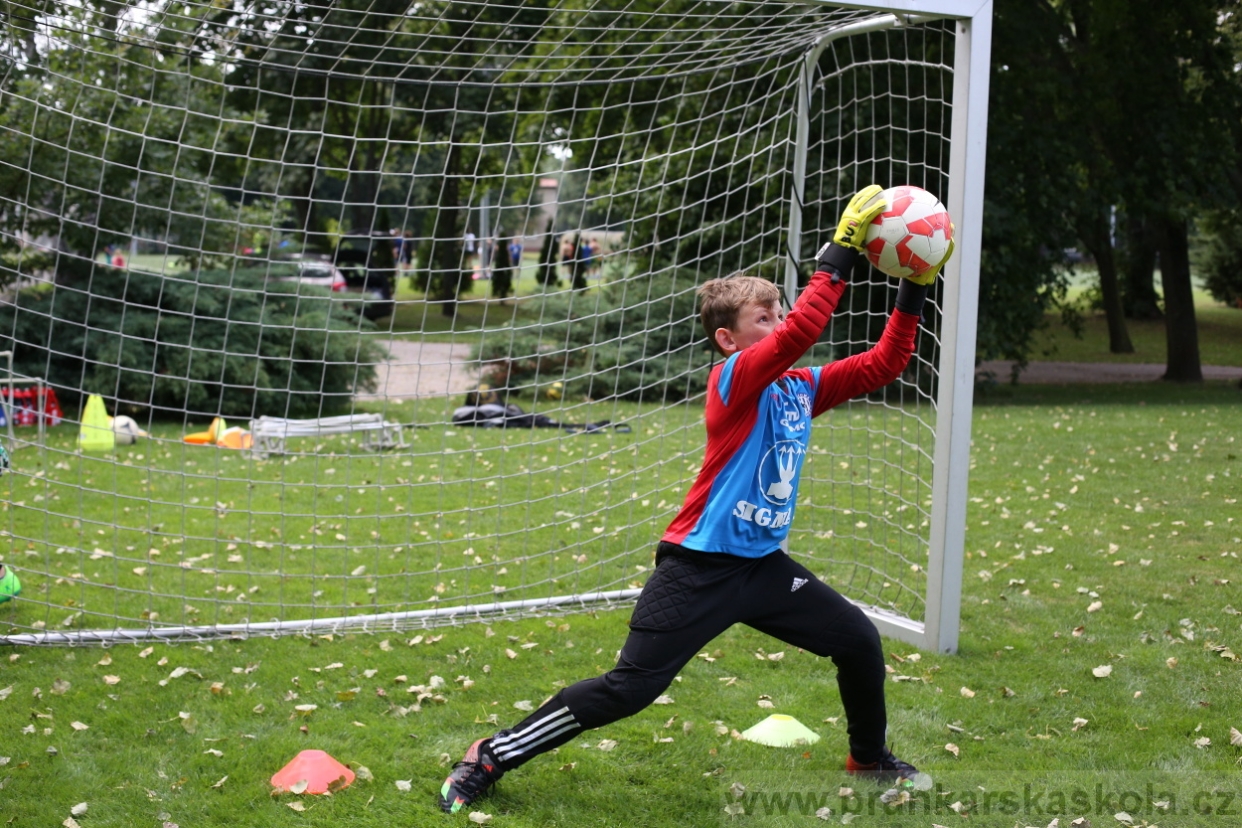 BFŠJCH - Léto 2017 - Úterý 8.8.2017