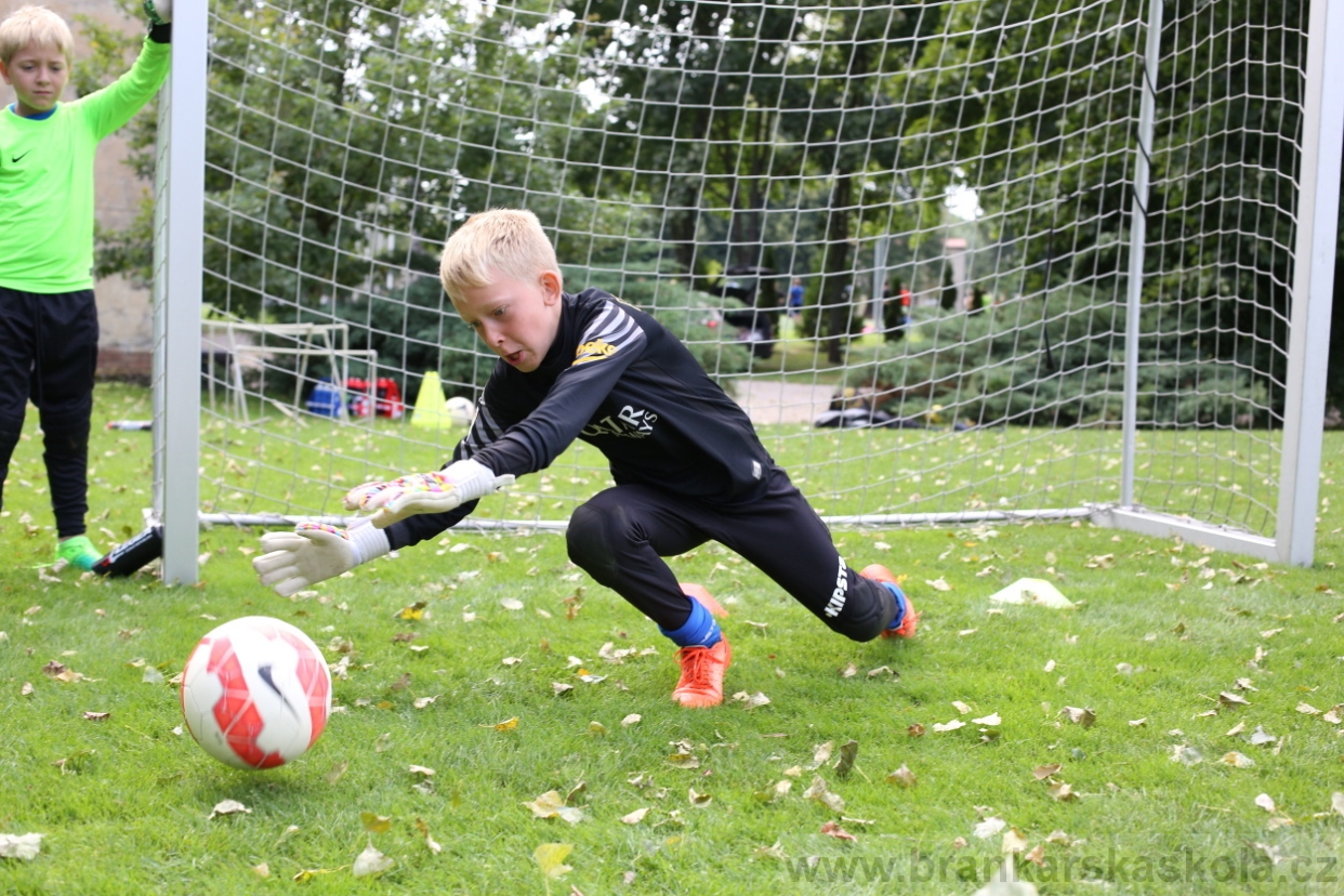 BFŠJCH - Léto 2017 - Úterý 8.8.2017
