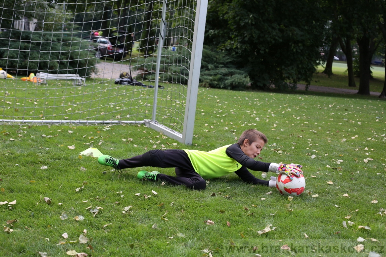 BFŠJCH - Léto 2017 - Úterý 8.8.2017