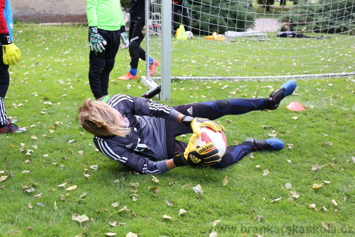 BFŠJCH - Léto 2017 - Úterý 8.8.2017