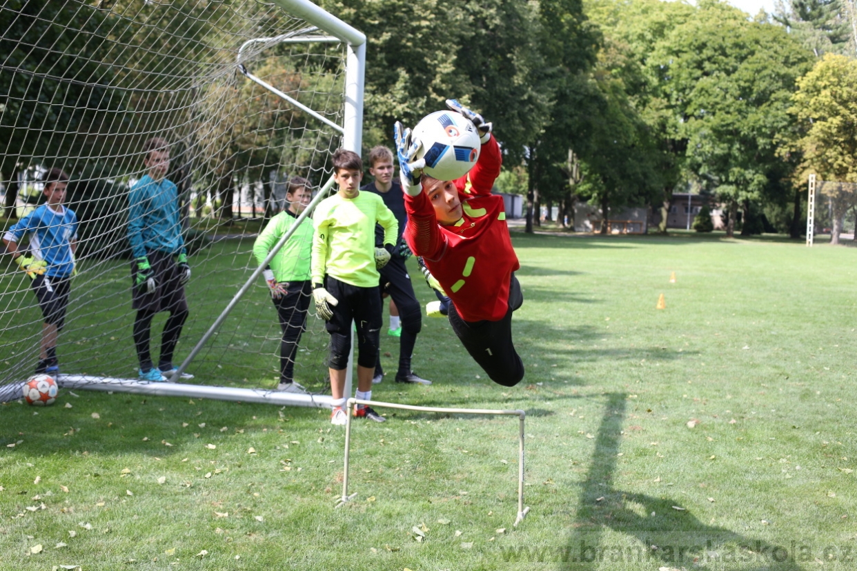 BFŠJCH - Léto 2017 - Úterý 8.8.2017
