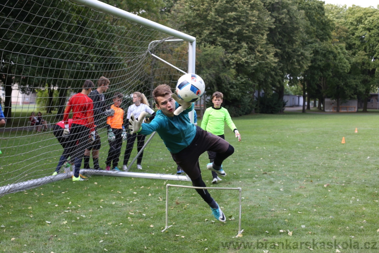 BFŠJCH - Léto 2017 - Úterý 8.8.2017