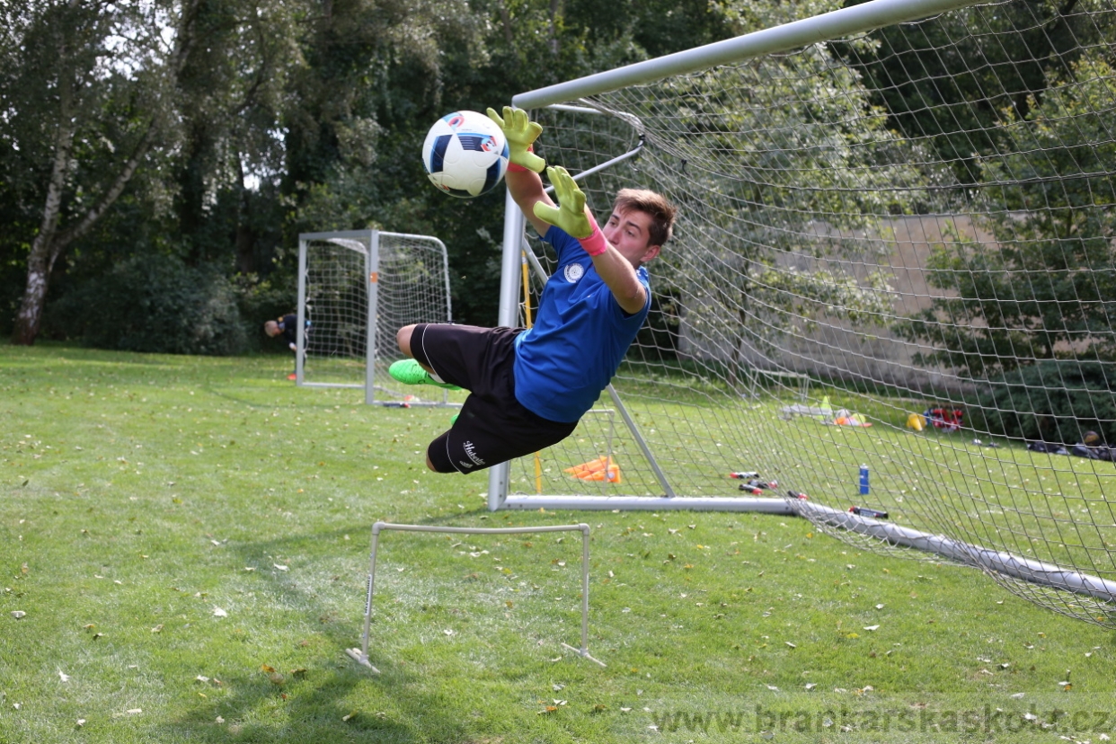 BFŠJCH - Léto 2017 - Úterý 8.8.2017