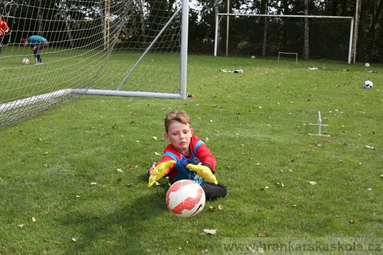 BFŠJCH - Léto 2017 - Úterý 8.8.2017