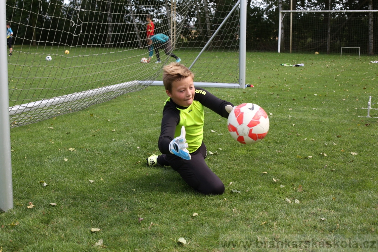 BFŠJCH - Léto 2017 - Úterý 8.8.2017