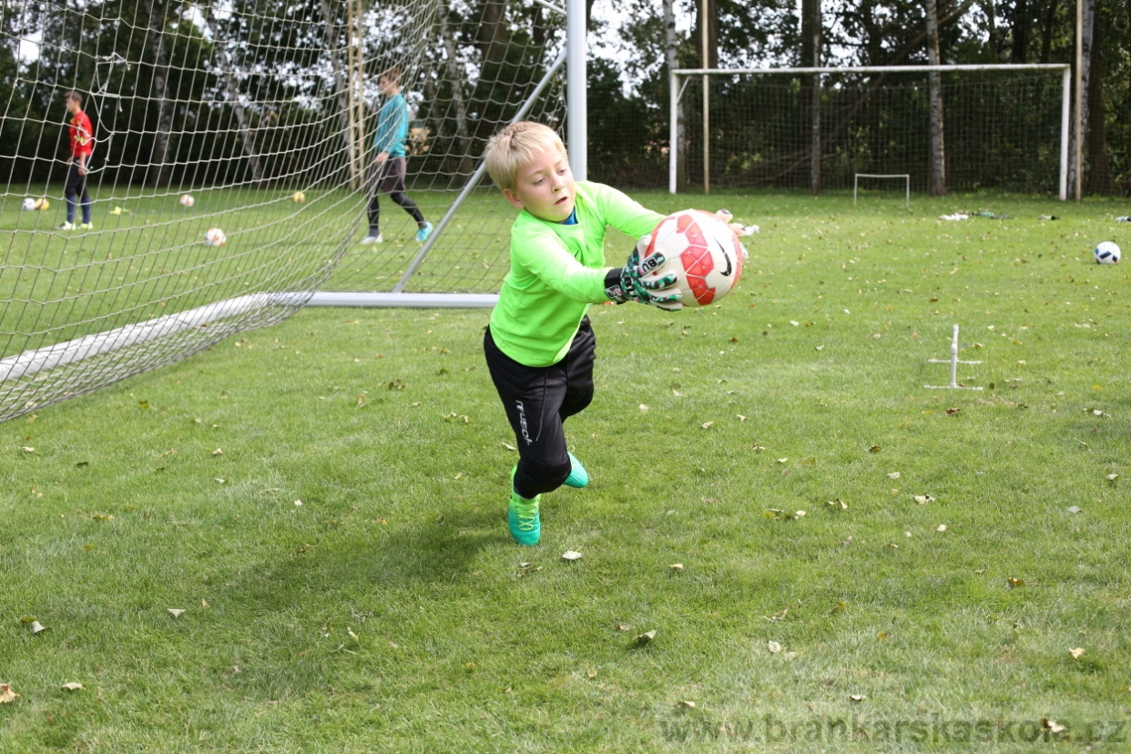 BFŠJCH - Léto 2017 - Úterý 8.8.2017