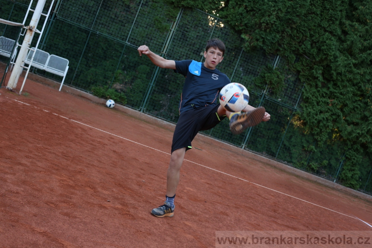 BFŠJCH - Léto 2017 - Úterý 8.8.2017