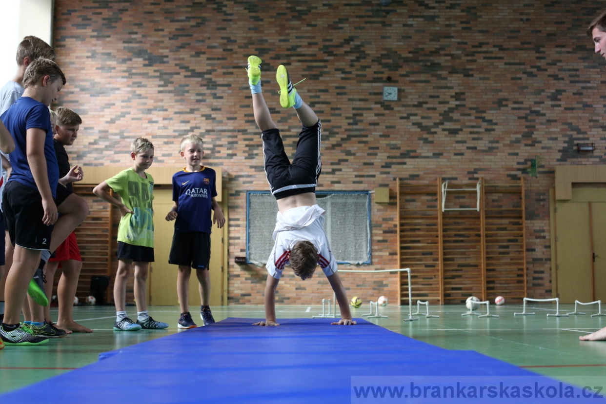 BFŠJCH - Léto 2017 - Středa 9.8.2017