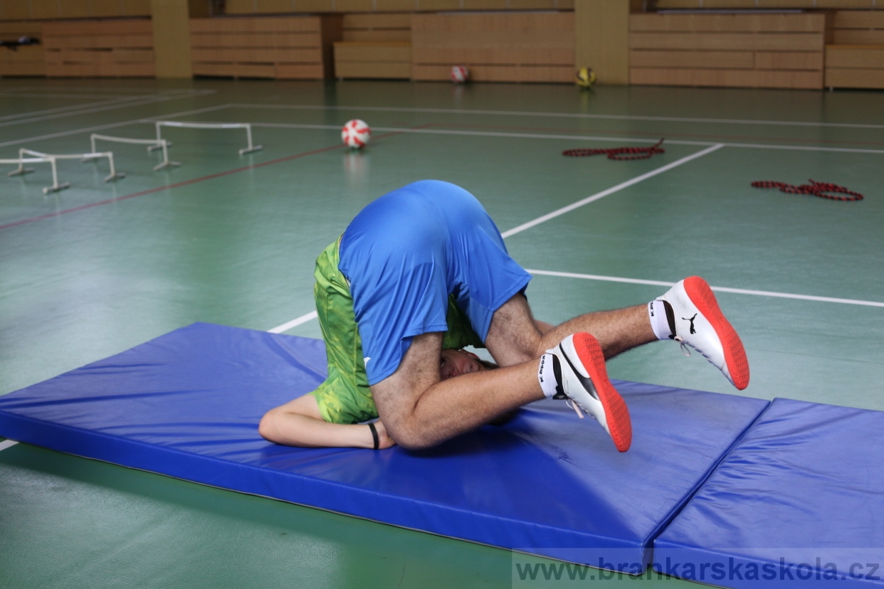 BFŠJCH - Léto 2017 - Středa 9.8.2017