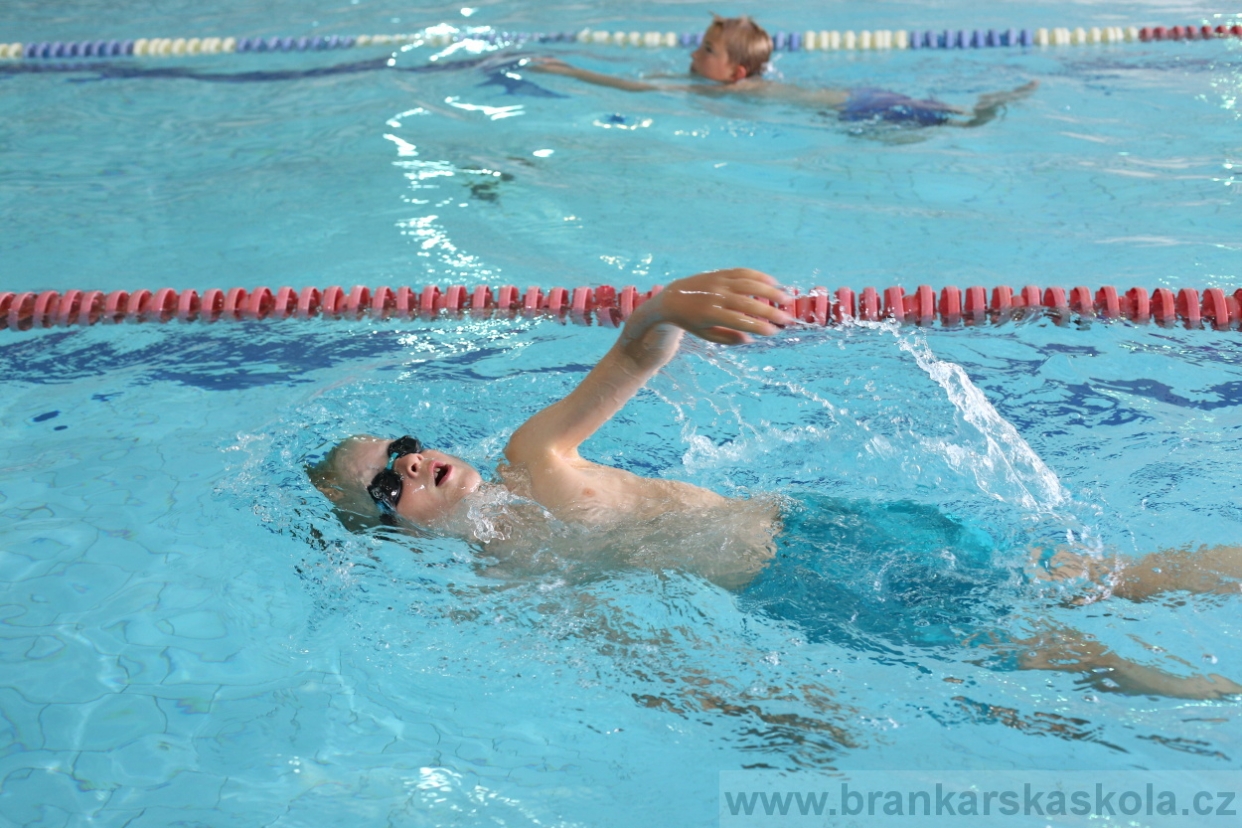 BFŠJCH - Léto 2017 - Středa 9.8.2017
