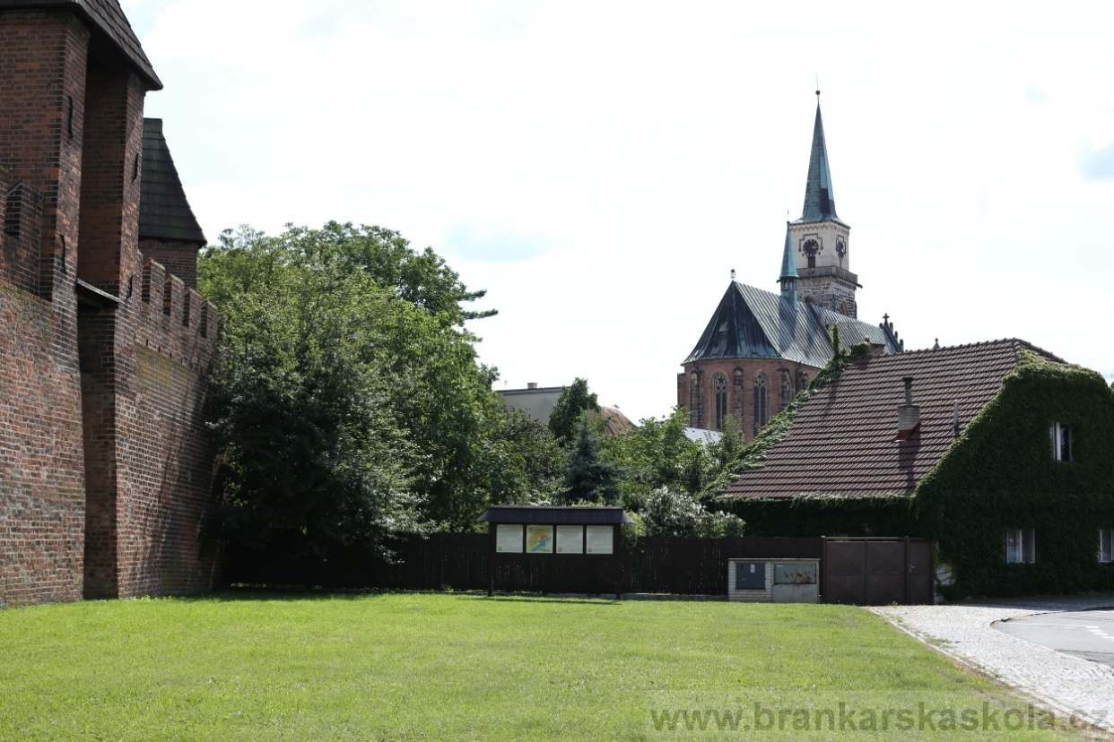 BFŠJCH - Léto 2017 - Středa 9.8.2017