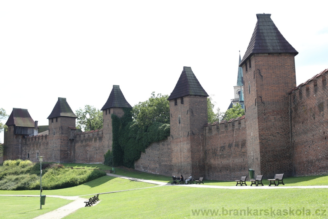 BFŠJCH - Léto 2017 - Středa 9.8.2017