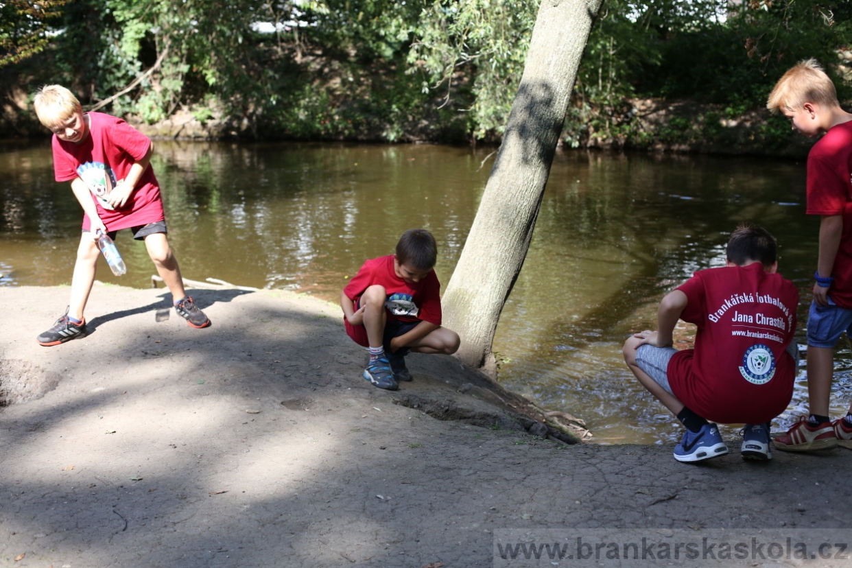BFŠJCH - Léto 2017 - Středa 9.8.2017