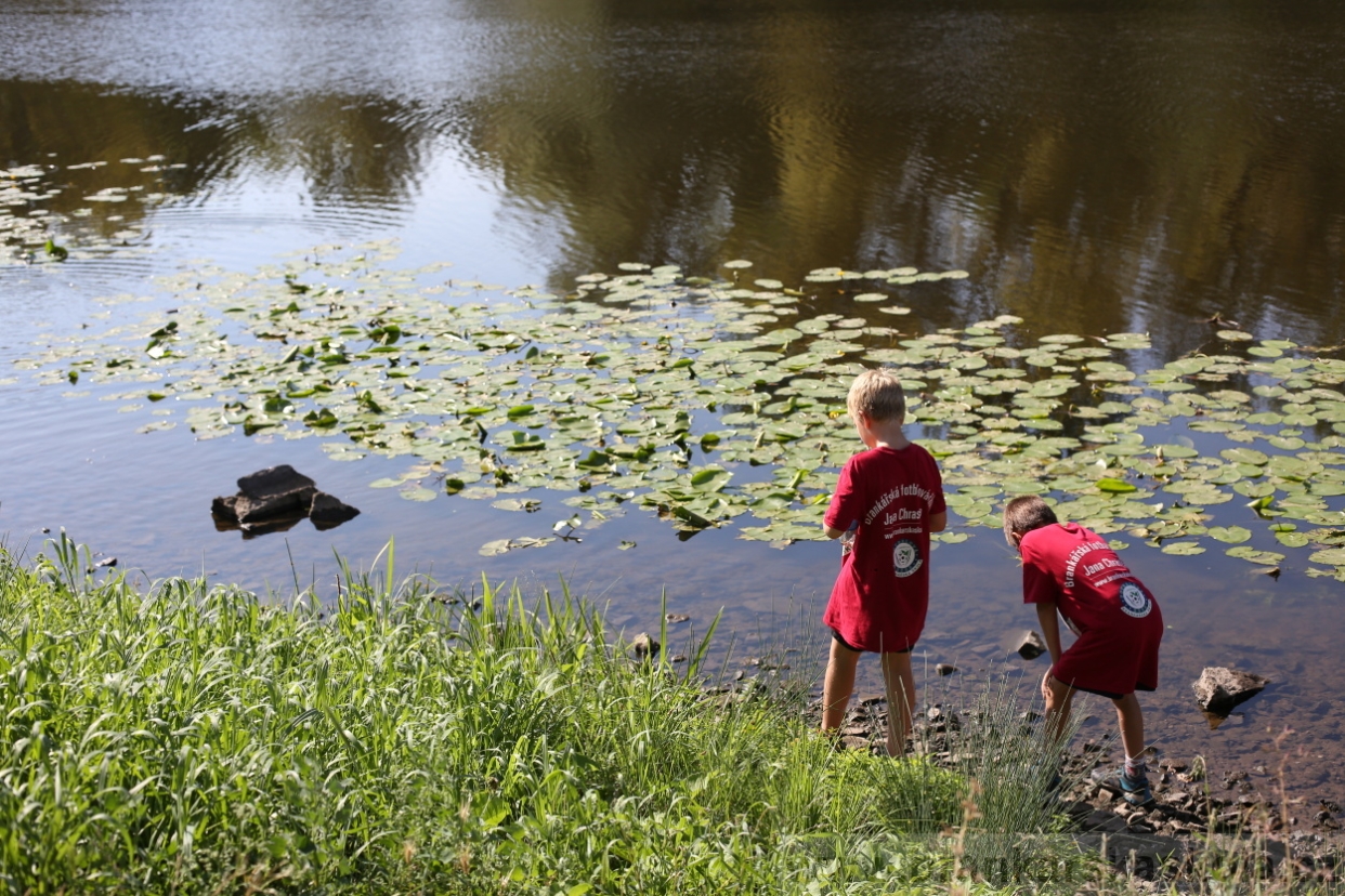BFŠJCH - Léto 2017 - Středa 9.8.2017