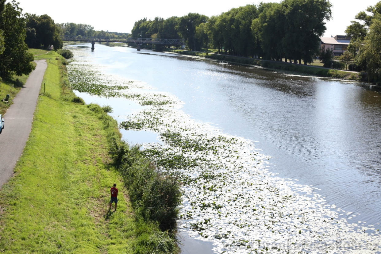 BFŠJCH - Léto 2017 - Středa 9.8.2017