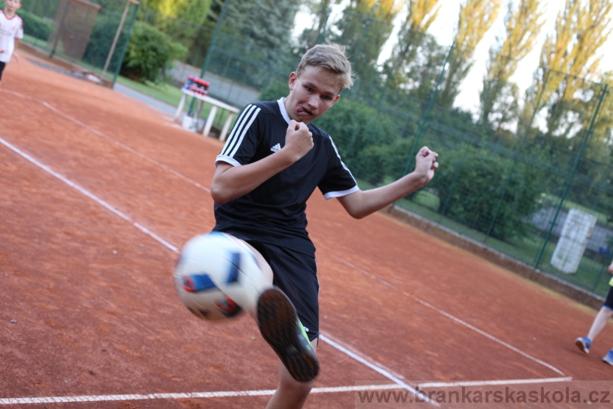 BFŠJCH - Léto 2017 - Středa 9.8.2017