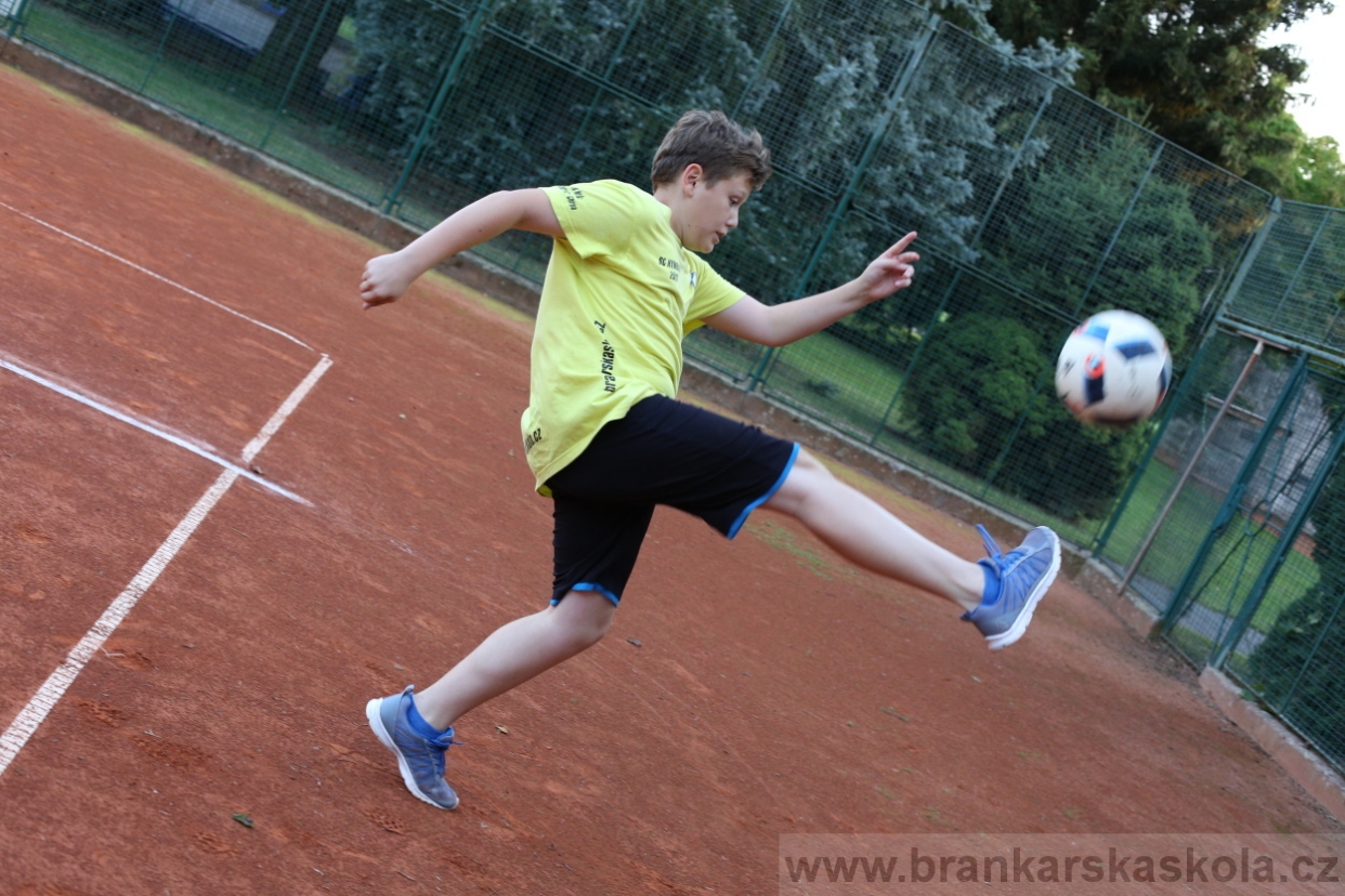 BFŠJCH - Léto 2017 - Středa 9.8.2017