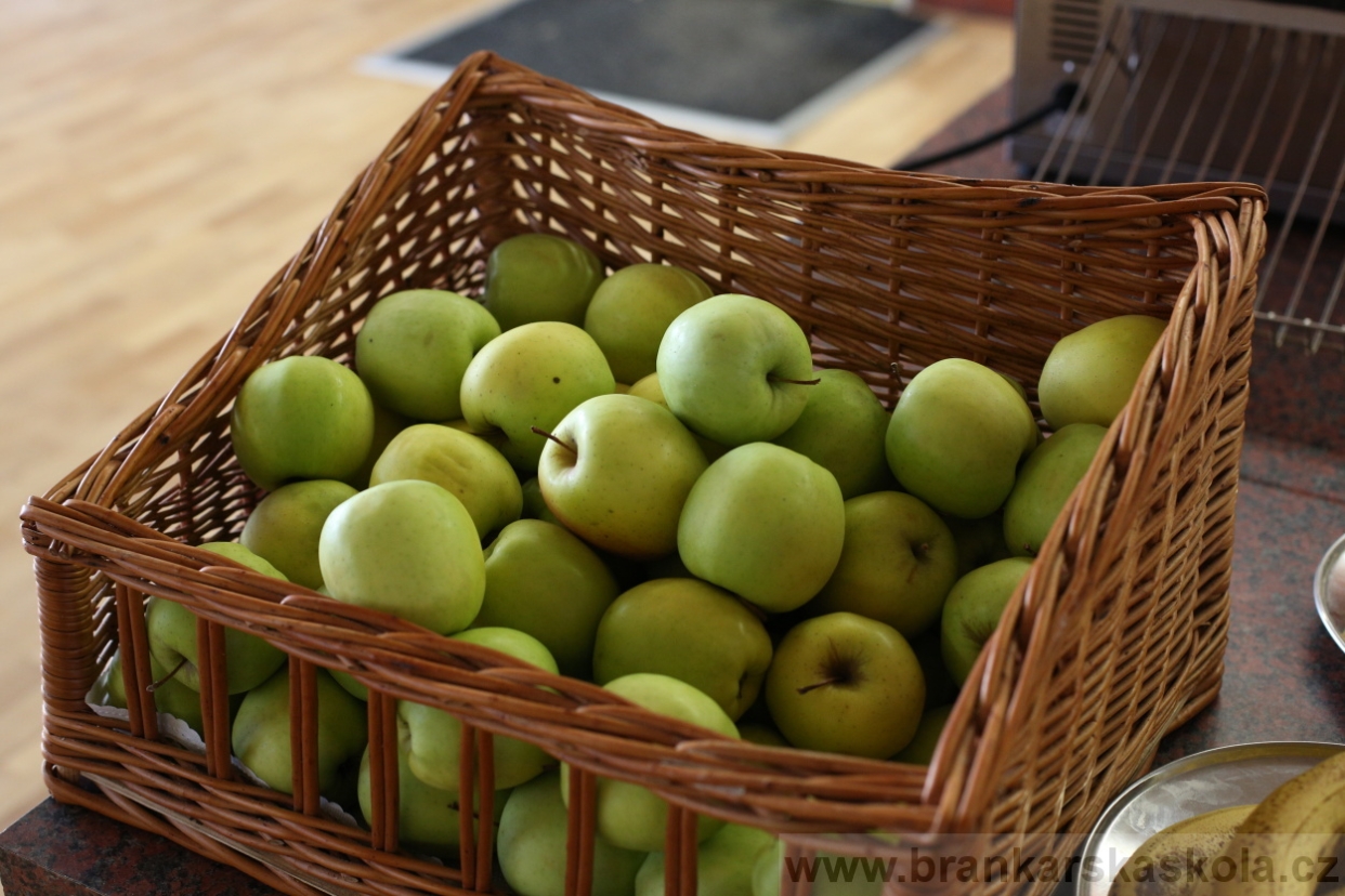 BFŠJCH - Léto 2017 - Čtvrtek 10.8.2017