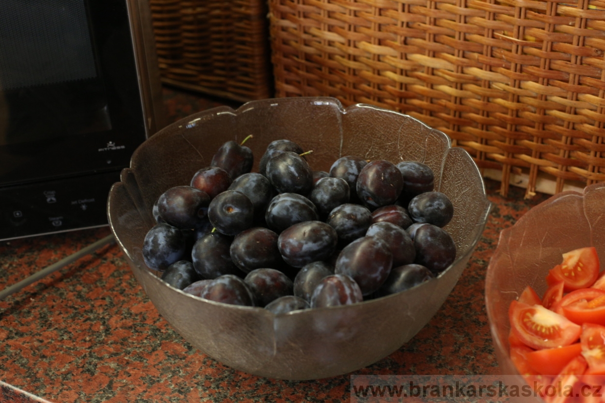 BFŠJCH - Léto 2017 - Čtvrtek 10.8.2017