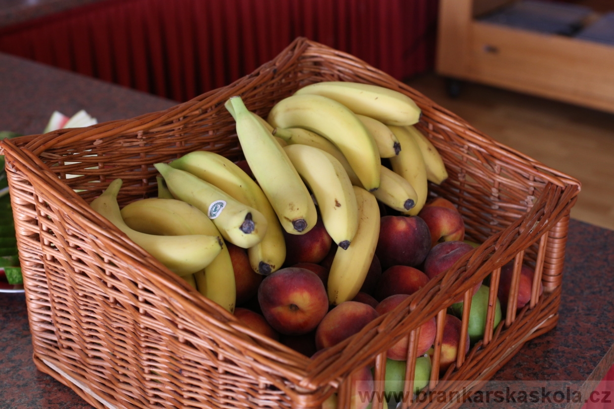 BFŠJCH - Léto 2017 - Čtvrtek 10.8.2017