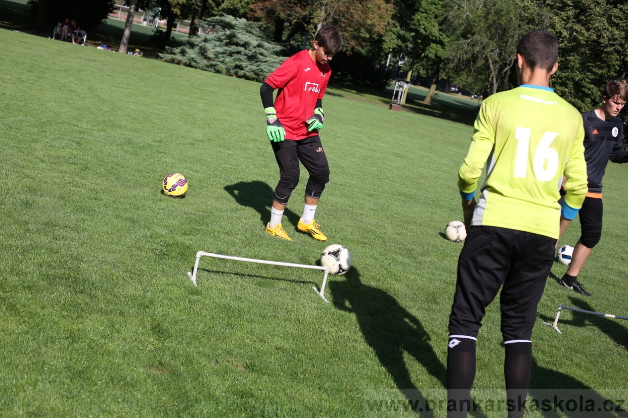 BFŠJCH - Léto 2017 - Čtvrtek 10.8.2017