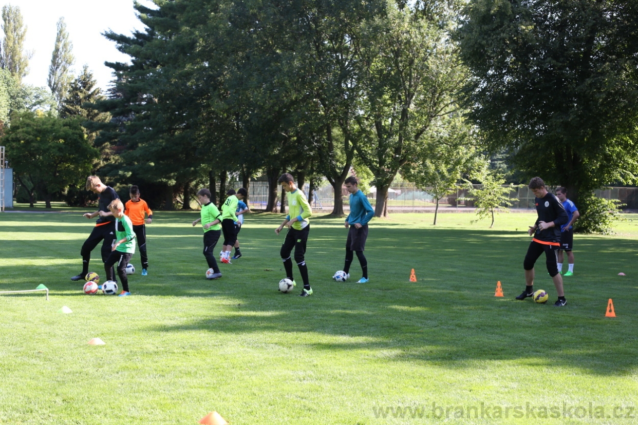 BFŠJCH - Léto 2017 - Čtvrtek 10.8.2017