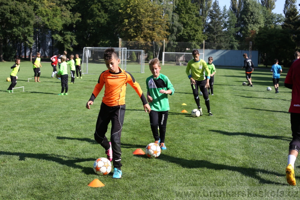 BFŠJCH - Léto 2017 - Čtvrtek 10.8.2017