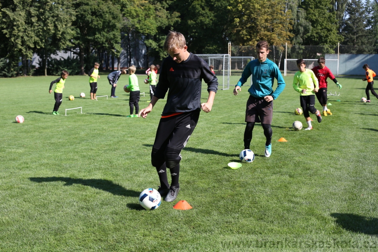 BFŠJCH - Léto 2017 - Čtvrtek 10.8.2017