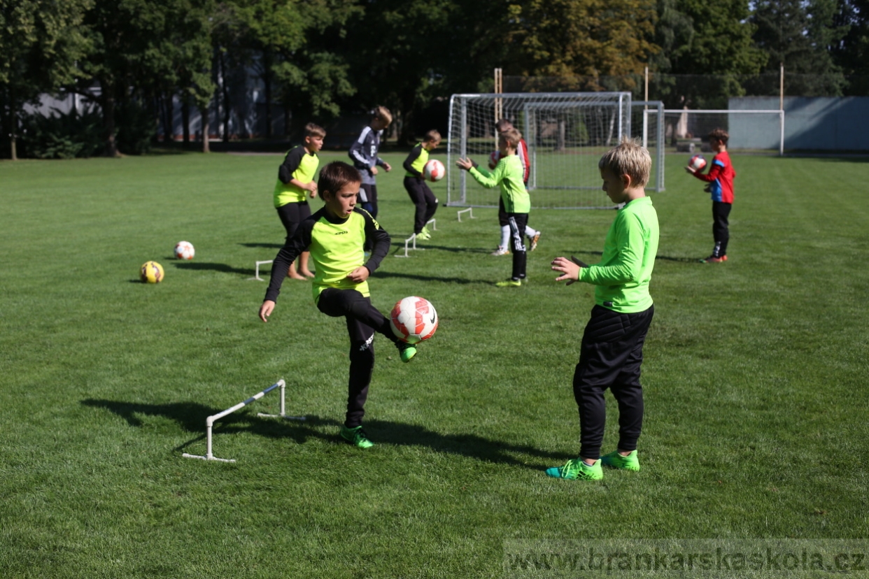 BFŠJCH - Léto 2017 - Čtvrtek 10.8.2017