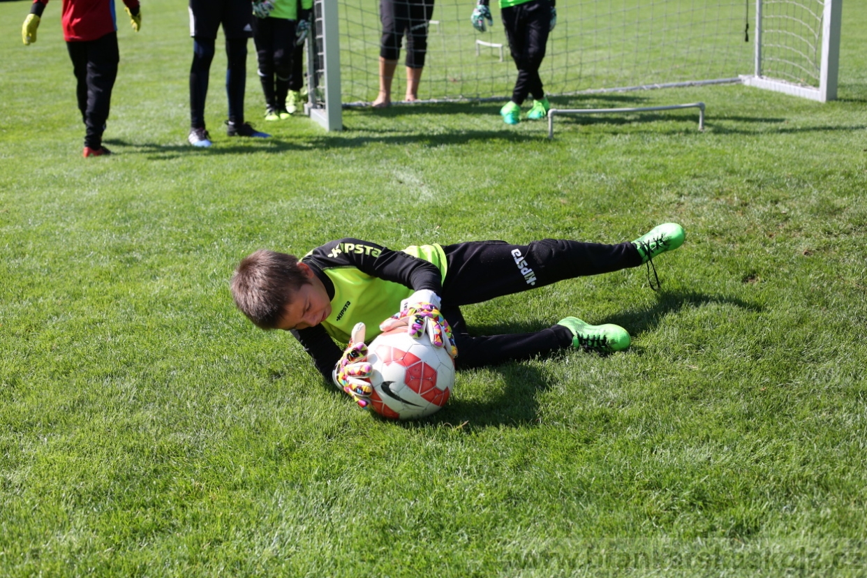 BFŠJCH - Léto 2017 - Čtvrtek 10.8.2017