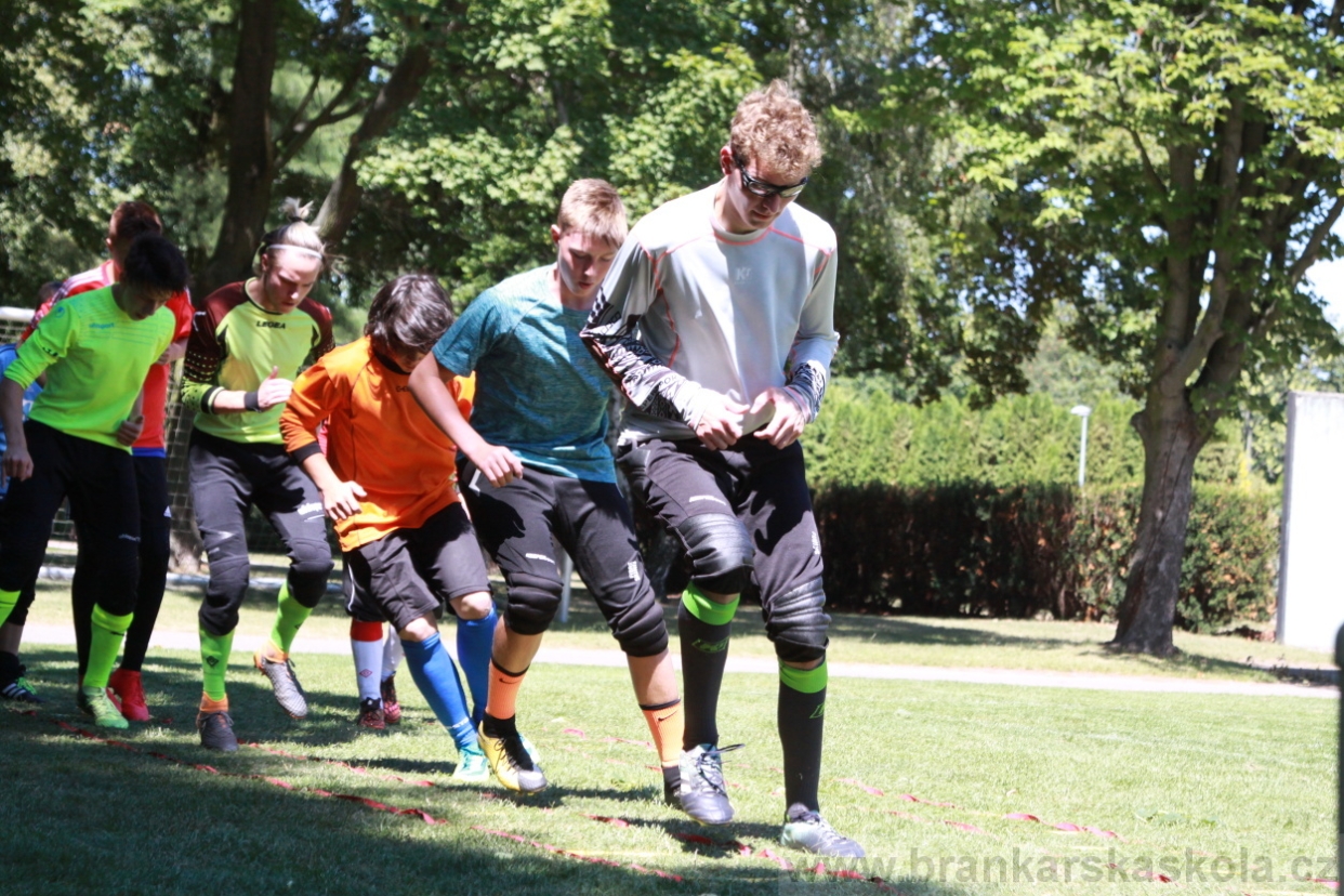 BFŠJCH - Léto 2018 - Úterý