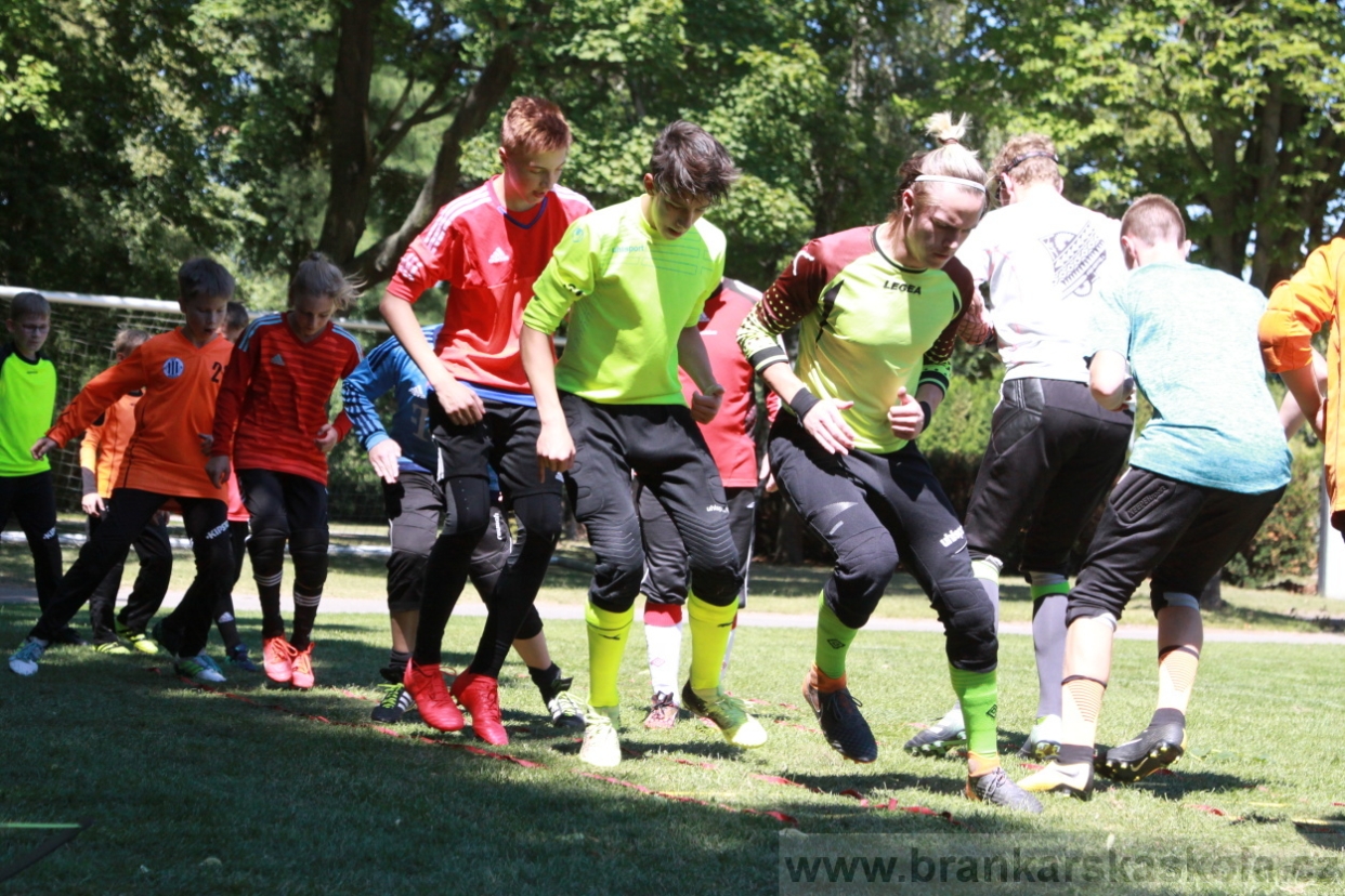 BFŠJCH - Léto 2018 - Úterý