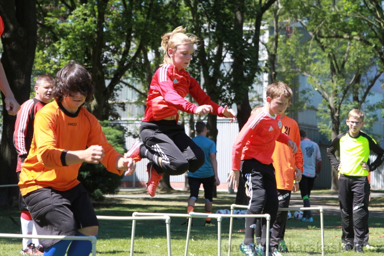 BFŠJCH - Léto 2018 - Úterý