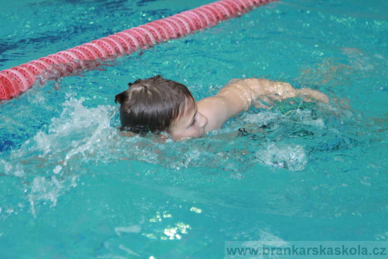 BFŠJCH - Léto 2018 - Úterý