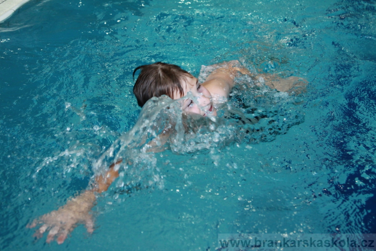 BFŠJCH - Léto 2018 - Úterý