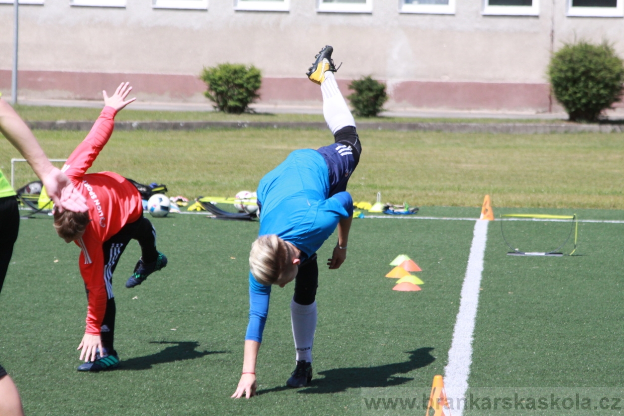 BFŠJCH - Léto 2018 - Středa