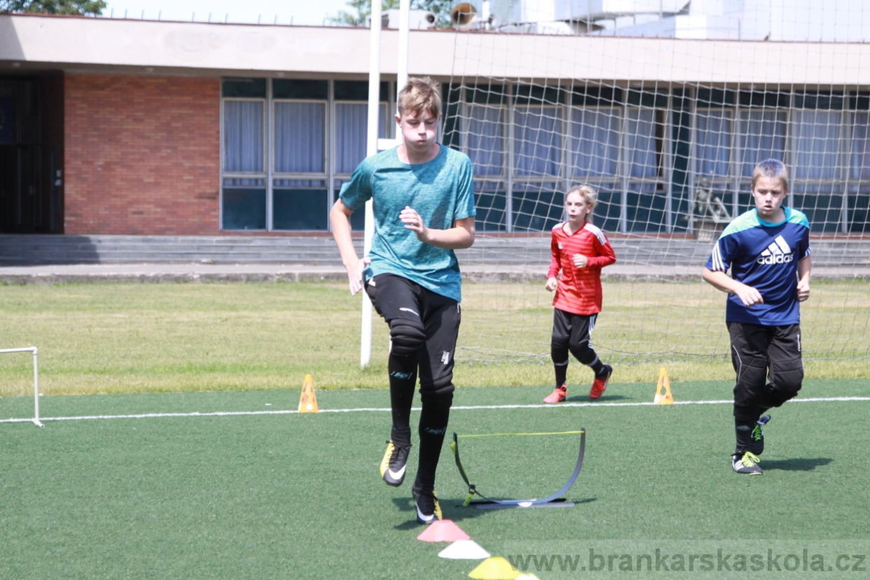 BFŠJCH - Léto 2018 - Středa