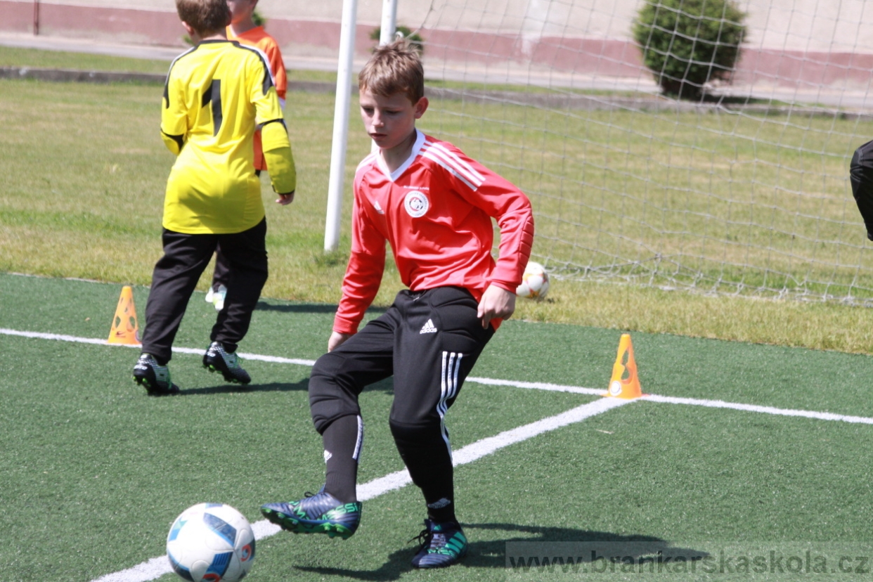 BFŠJCH - Léto 2018 - Středa