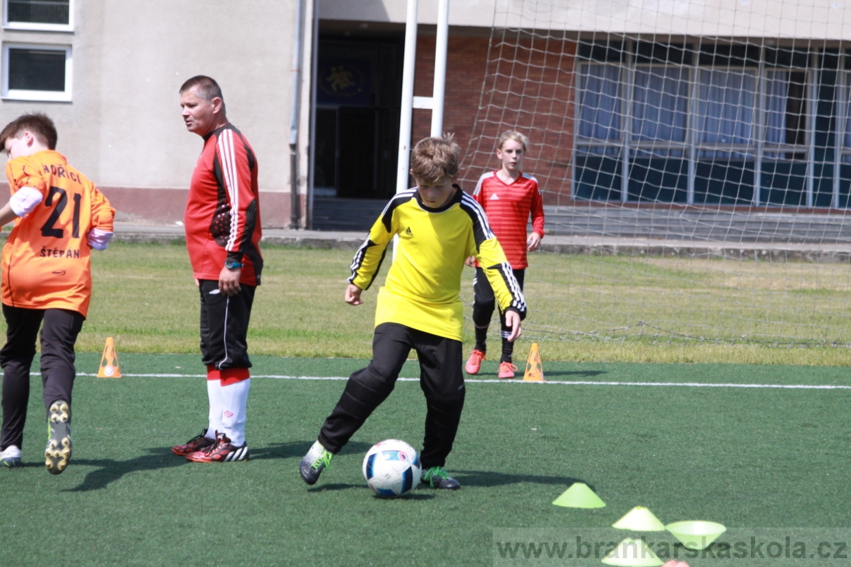 BFŠJCH - Léto 2018 - Středa