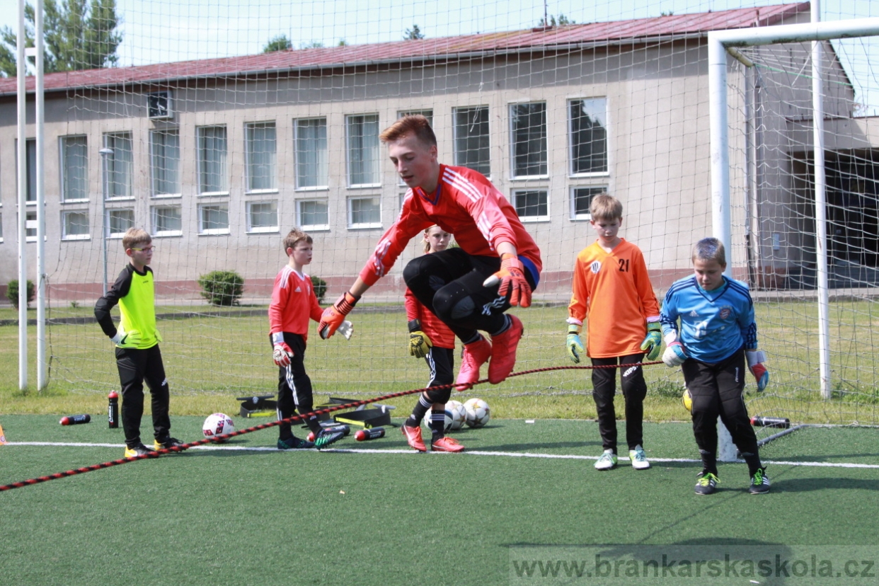 BFŠJCH - Léto 2018 - Středa